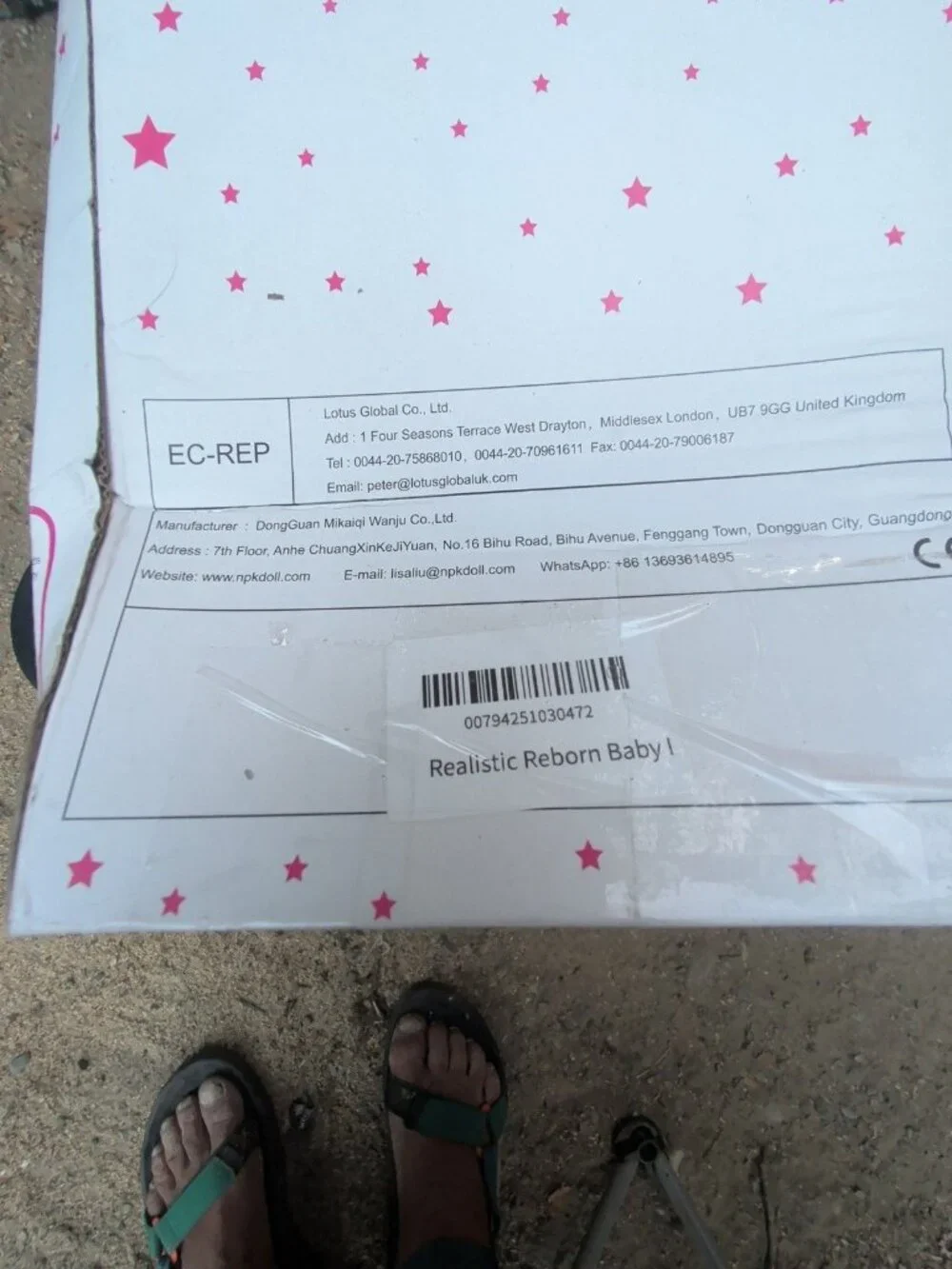 Realistic Reborn Baby Doll in Box with Accessories